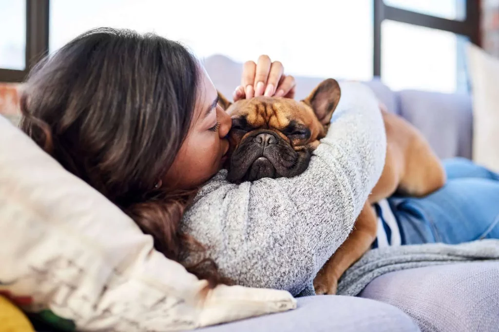 Financial Planning How to Prepare for Humane Euthanasia and Pet Hospice Costs