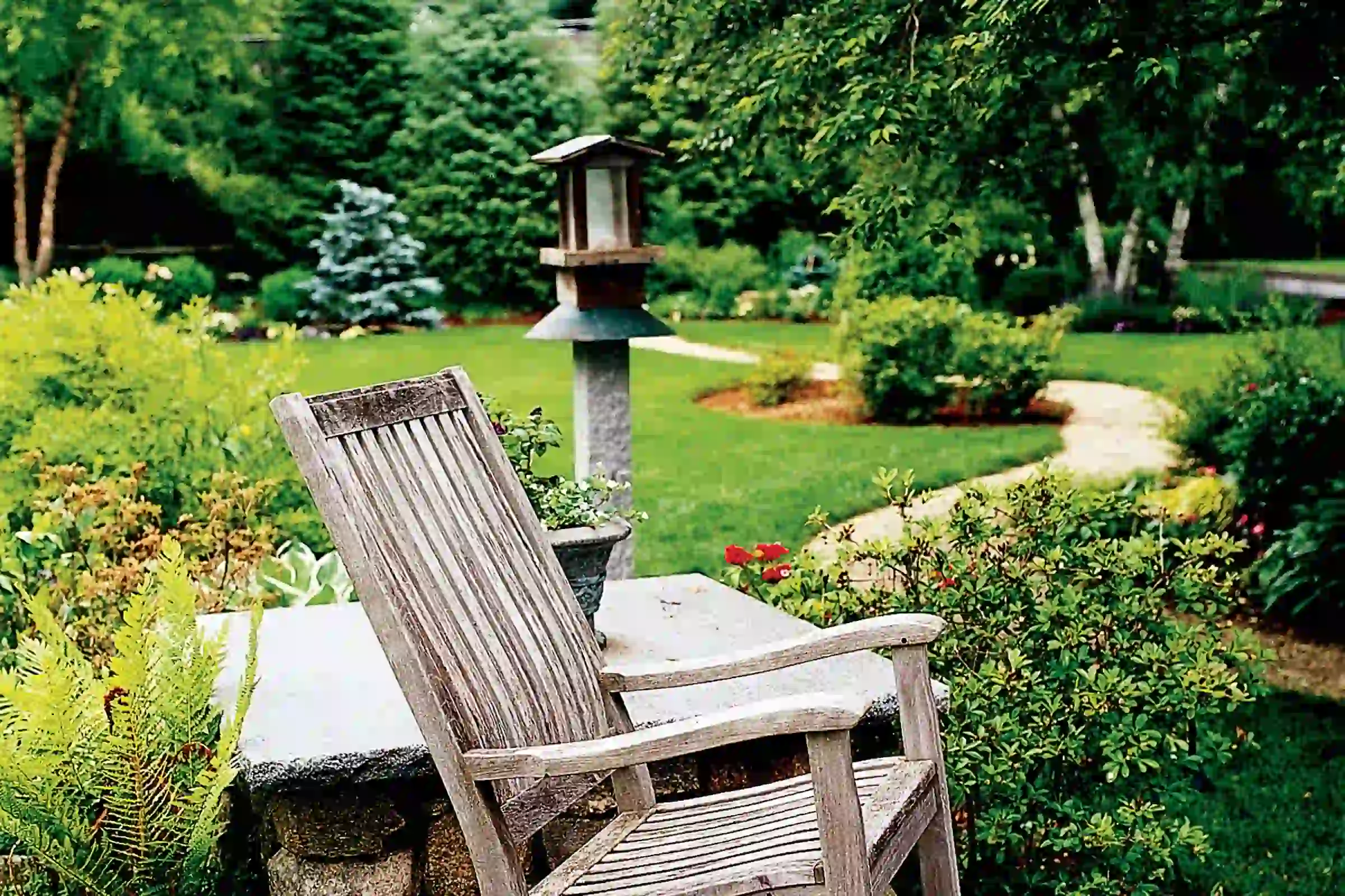 Financial Steps for a Successful Backyard Renovation