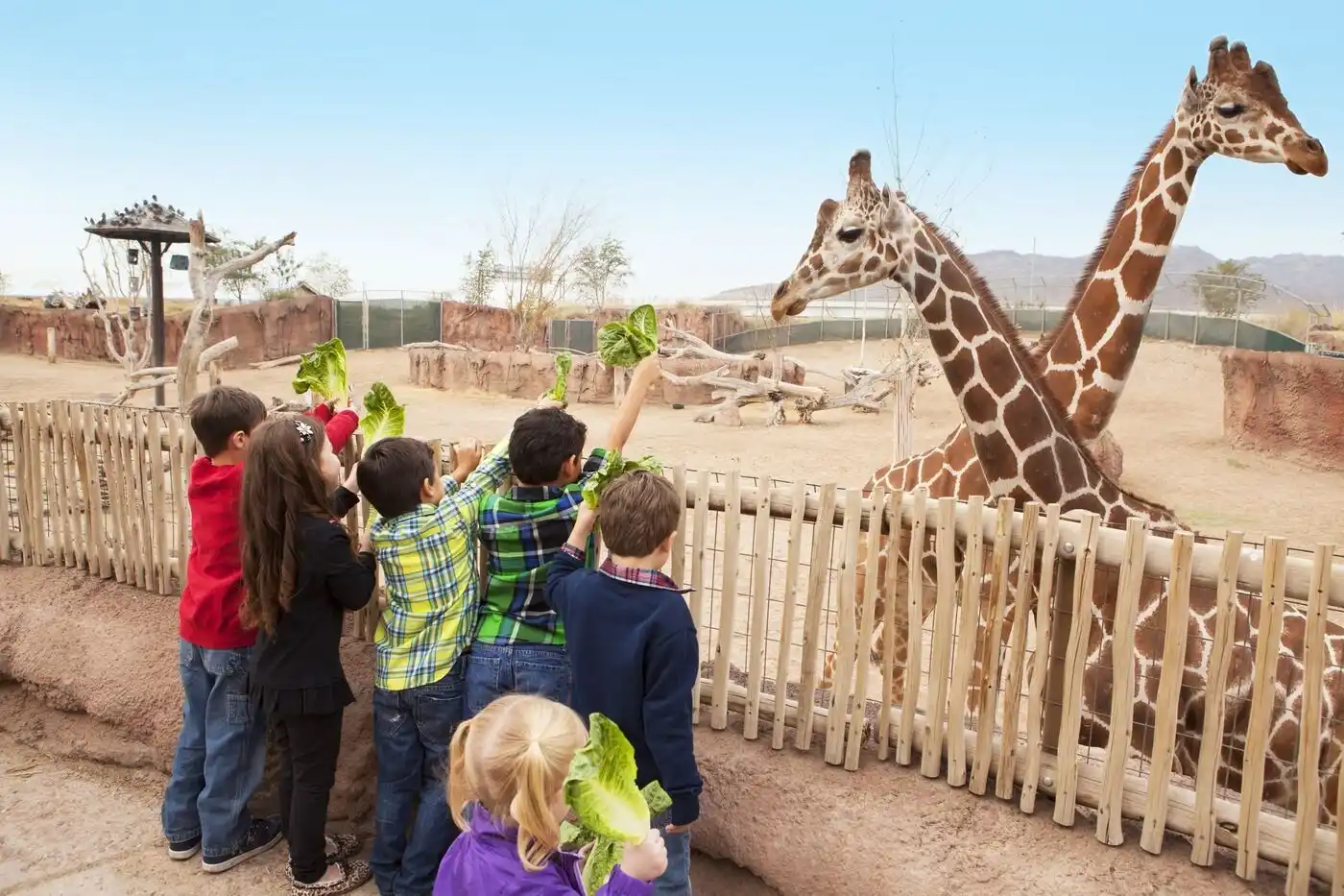 Visiting El Paso Parks for Families